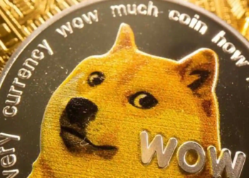 Let’s raise the Shibu inu to the sky!