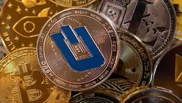 The labor market in the bitcoin and crypto industry: results of 2021