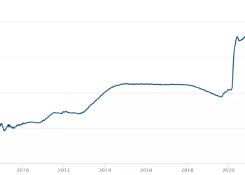 Bitcoin will rise to $150,000 due to inflation