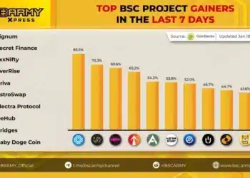 What altcoins to invest in in February