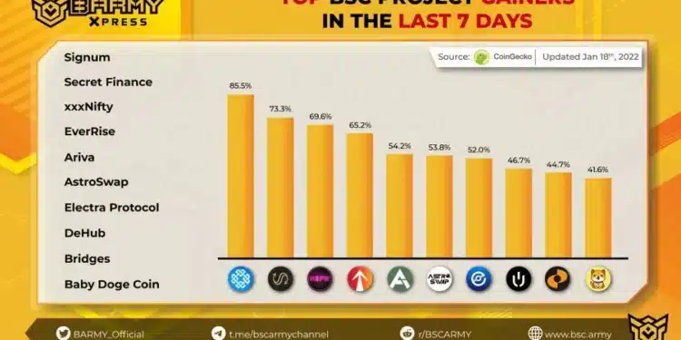 What altcoins to invest in in February