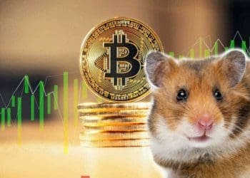 The story is not a hamster: how I started investing in bitcoin and what is happening with the portfolio now