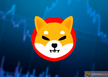 From Meme Coin to Long-Term Asset: The Evolution of Shiba Inu Investor Strategy