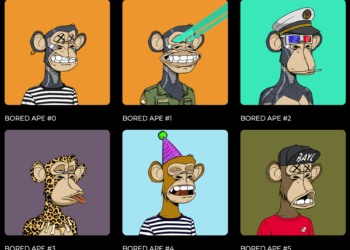 PFP NFTs: What Are They?