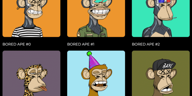 PFP NFTs: What Are They?