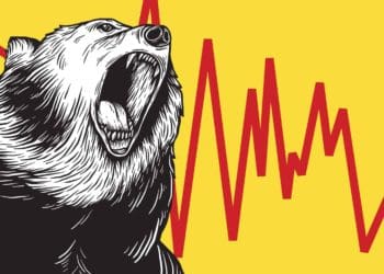 Crypto Bear Market Opportunities