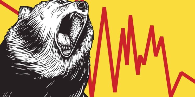 Crypto Bear Market Opportunities