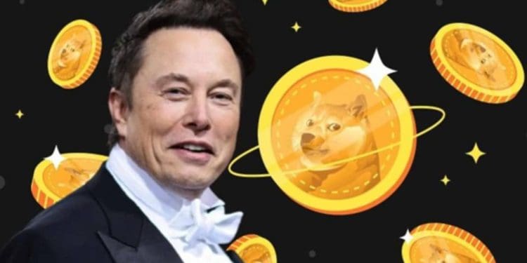 Is It Idea To Invest In Meme Coins Now That Dogecoin Has Continued to increase?