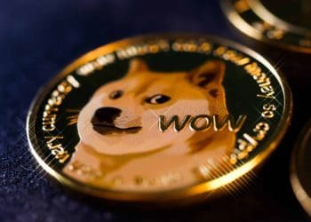 Dogecoin has grown by 78,000% since its record low.