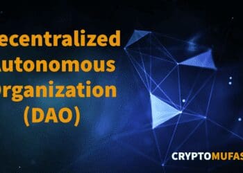 Investment DAOs and Their Working