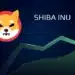 Shiba Inu (SHIB) has become the most preferred smart contract by the top 5,000 Ethereum whales.