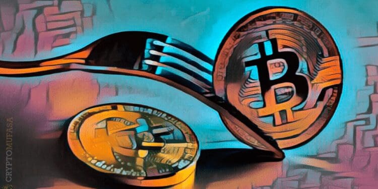 Airdrops and Hard Forks: Tips to Earn Crypto Passive Income
