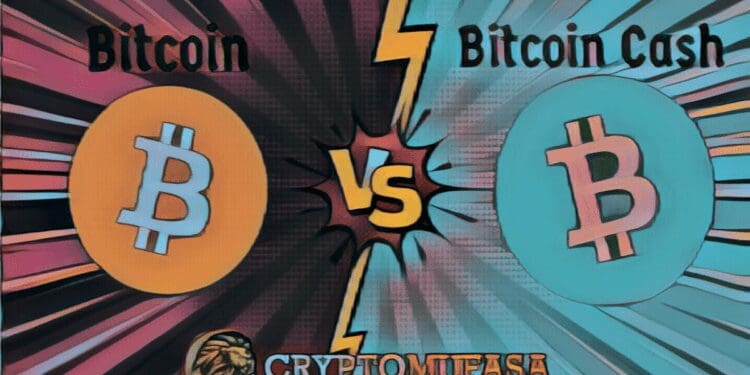 Bitcoin vs Bitcoin Cash –6 Differences Between BTC and BCH