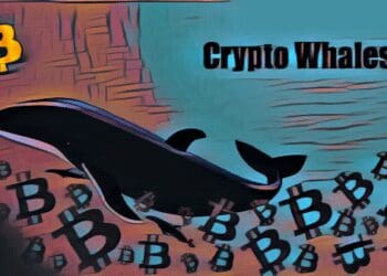 Bitcoin Whale Moves $11 Million in Bitcoin Following 12 Years of Inactivity