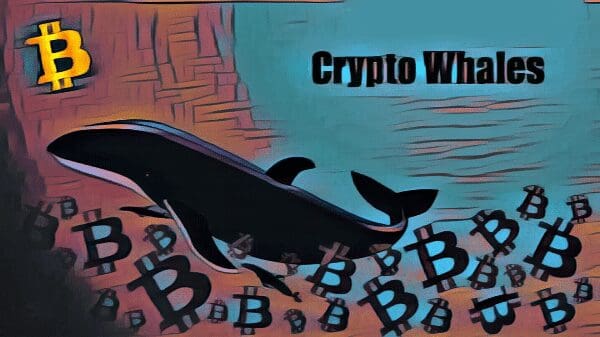 Bitcoin Whale Moves $11 Million in Bitcoin Following 12 Years of Inactivity