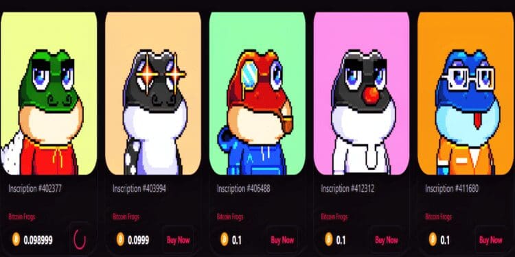 Bitcoin Frogs Is The Most Popular NFT, Surpassing Bored Apes