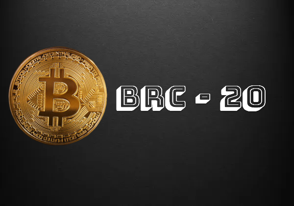 BRC 20 vs DRC 20: Everything You Need To Know