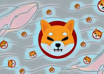 Shiba Inu Whales Invest In 6.5Trillion SHIB Tokens After The Shibarium Protocol Airs Out