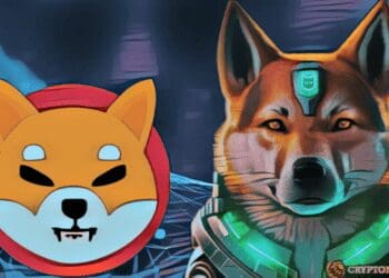 Shibarium Transactions Surge By 130%: Impact On SHIB Price?