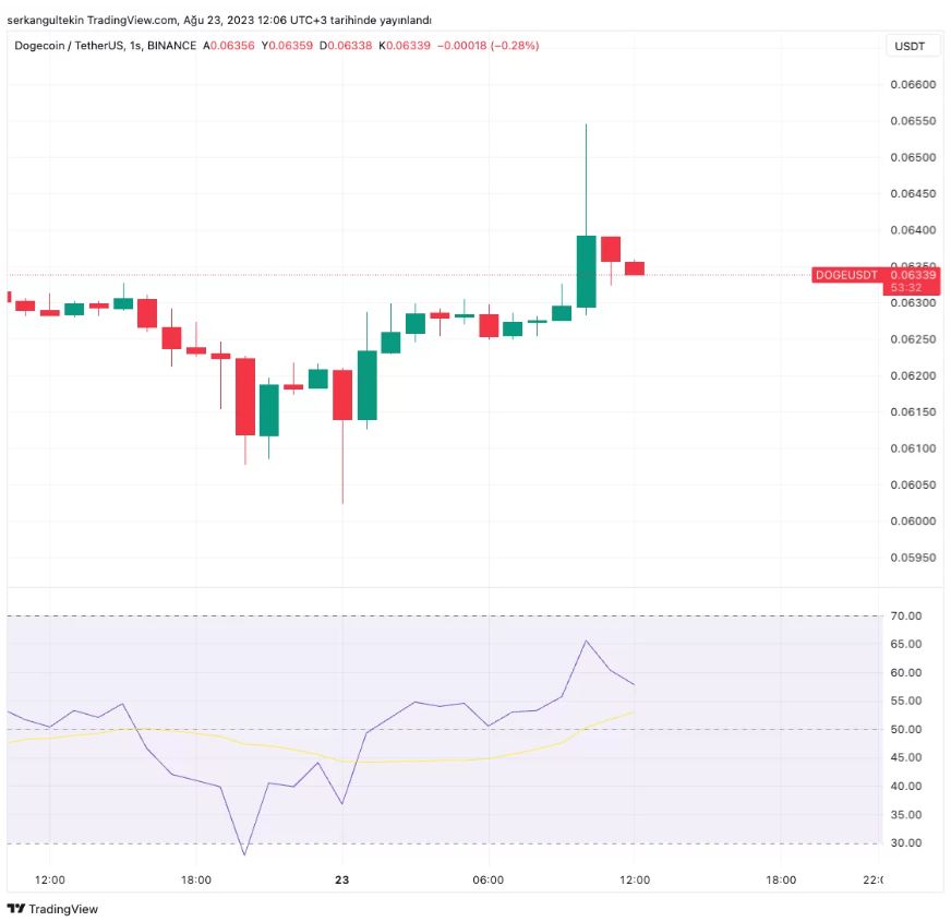 DogeCoin Soars With Elon Musk's Latest Move