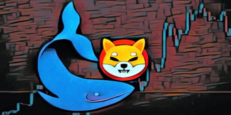Shiba Inu Whales Invest In 6.5Trillion SHIB Tokens After The Shibarium Protocol Airs Out