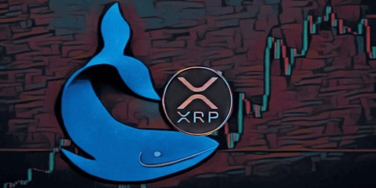 XRP Market Watch: Is This Whale Considering to Sell $15 Million Worth of Ripple (XRP)?
