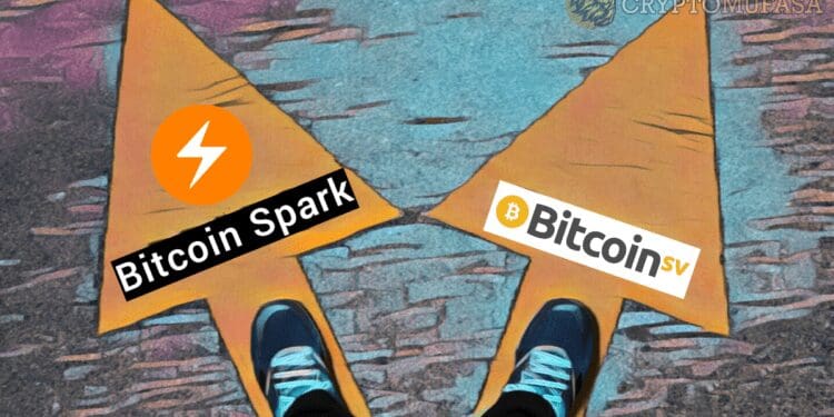 Bitcoin Spark And BSV: Exploring Bitcoin Alternatives For Blockchain Development