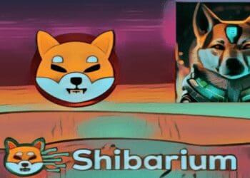 Shibarium Transactions Surge By 130%: Impact On SHIB Price?