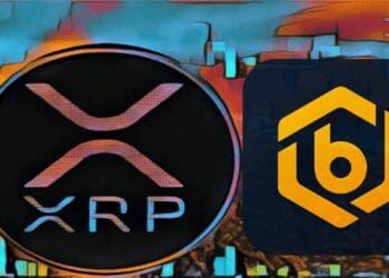 XRP Holders Receive Unexpected Good News From Bitrue