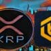 XRP Holders Receive Unexpected Good News From Bitrue