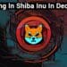 Investing In Shiba Inu In December? Know These Essential SHIB Price Levels