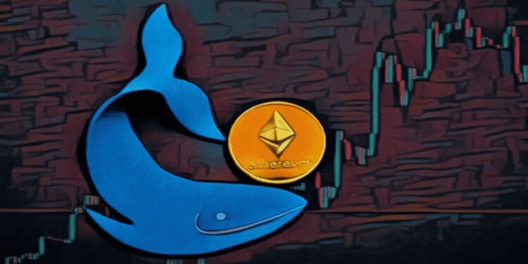 Whale Alert: Ethereum Transfers Worth $136 Million to Binance, Coinbase