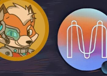 Mina Protocol and Galaxy Fox Growth Potential In January 2024