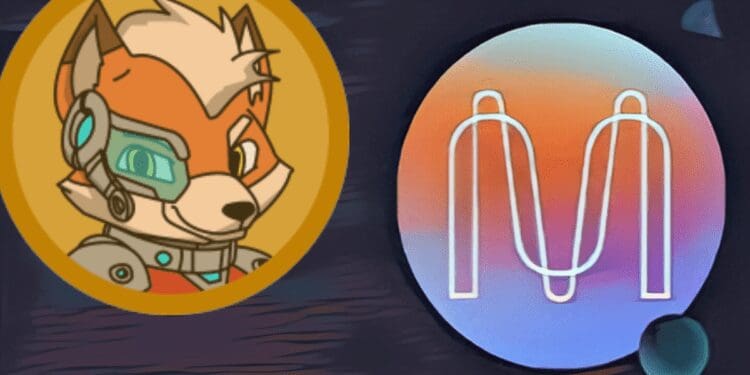 Mina Protocol and Galaxy Fox Growth Potential In January 2024