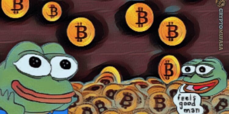 PEPE Meme Coin Hits Record High Amid Ether ETF Speculation