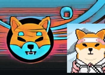 Shiba Inu’s SHEboshi Launch: A Comprehensive Overview of the ERC-404 NFT