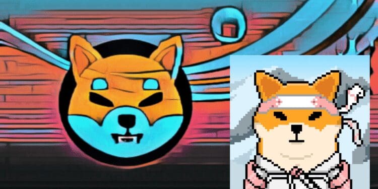 Shiba Inu’s SHEboshi Launch: A Comprehensive Overview of the ERC-404 NFT