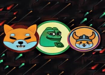 Meme Coin Mania: Could It Lead to a Surge of New Millionaires?