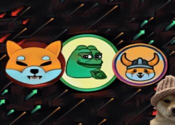 Meme Coins on the Rise: Inside the $2.4 Million Profit of a Crypto Trader