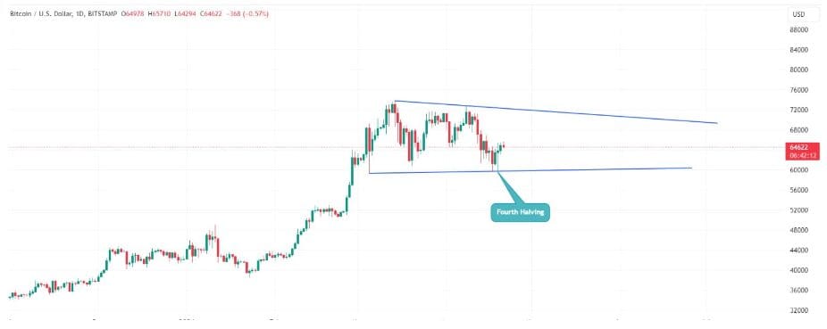Bitcoin Halving Insights into Price Trends and Market Behavior
