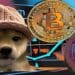 Crypto Market Watch: BTC, DOGE, WIF in the Spotlight This Week