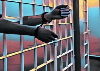 ZKasino Scam: Suspect Arrested, $12.2M Confiscated by Dutch Authorities