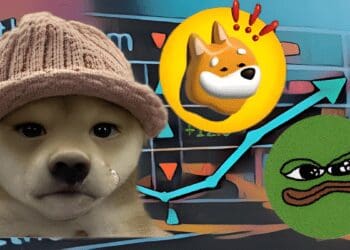 Meme Coins on the Rise: Inside the $2.4 Million Profit of a Crypto Trader