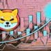 Shiba Inu Investment: How $100 Weekly Investments Transformed into $641 Million