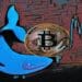 Bitcoin Whales’ Strategic Move: $4.3 Billion BTC Accumulation During Market Dip