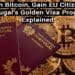 Invest in Bitcoin, Gain EU Citizenship: Portugal’s Golden Visa Program Explained