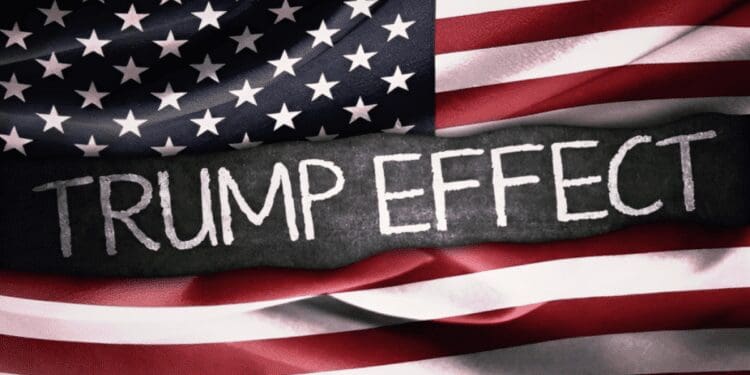 Potential Crypto Market Surge if Trump Wins the 2024 US Election