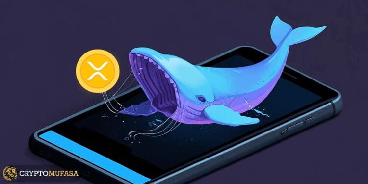 XRP Whales Unleash a Tidal Wave of Token Dumps- What's Next