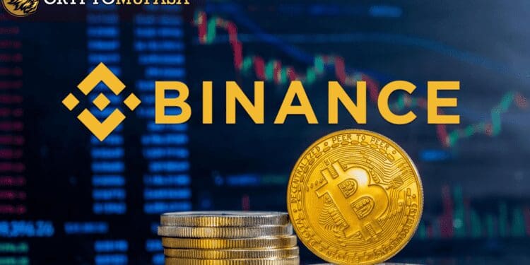 Understanding BNB Smart Chain- Wallet Maintenance and Updates